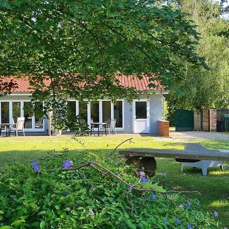 Ostseezeit * Ribnitz-Damgarten