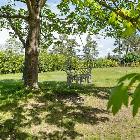Ostseezeit Ribnitz-Damgarten